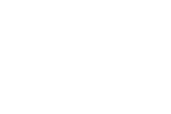BIBE Transbizkaia