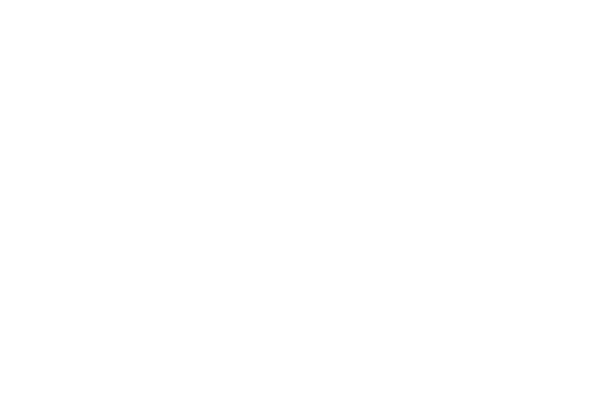 Ekidom